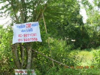 Land of Nongchok Nongchok